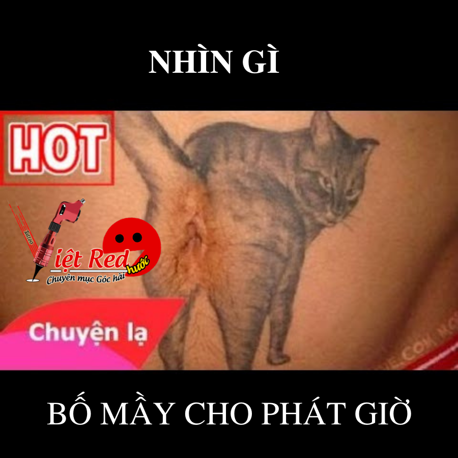 Hình Xăm Hài Hước Vị Trí Xăm Bao Hài Chỉ Có Tại Việt Red Tattoo