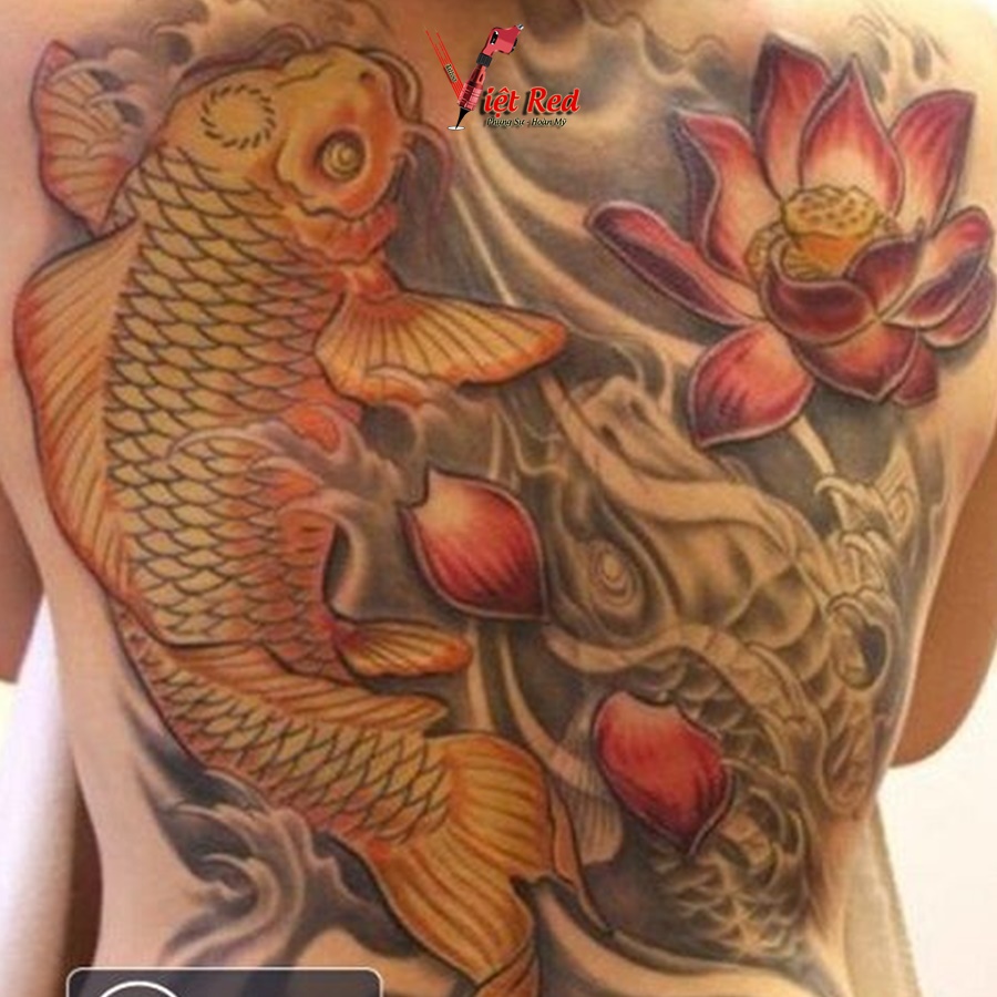 51 hình xăm cá chép hợp tuổi mệnh và ý nghĩa sâu sắc  Tatuaje pez koi  Manchas de tatuaje Tatuaje de koi