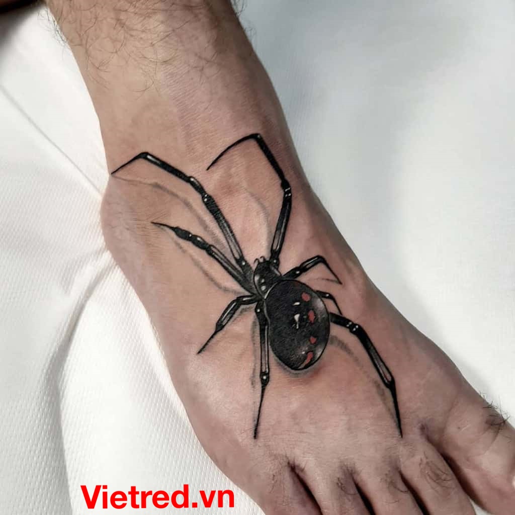 Hình dán tattoo tạm thời ZTHOME hình con nhện 3D độc đáo  HolCim  Kênh  Xây Dựng Và Nội Thất