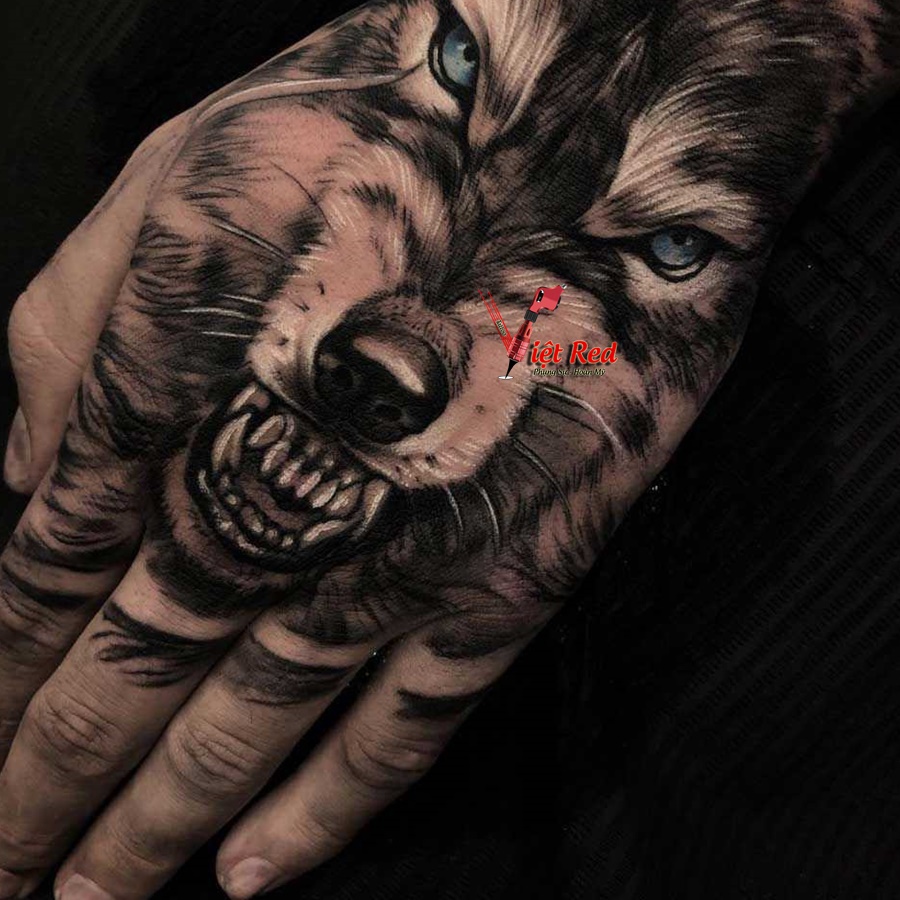 Hình ảnh: Hình xăm chó sói trên tay