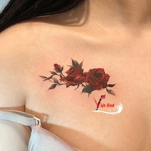 Hình xăm hoa hồng trên ngực