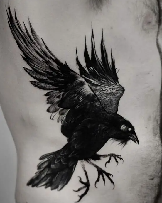 Hình xăm con Quạ Chung raven con Chim Đen và màu xám  con quạ png tải về   Miễn phí trong suốt Con Chim png Tải về